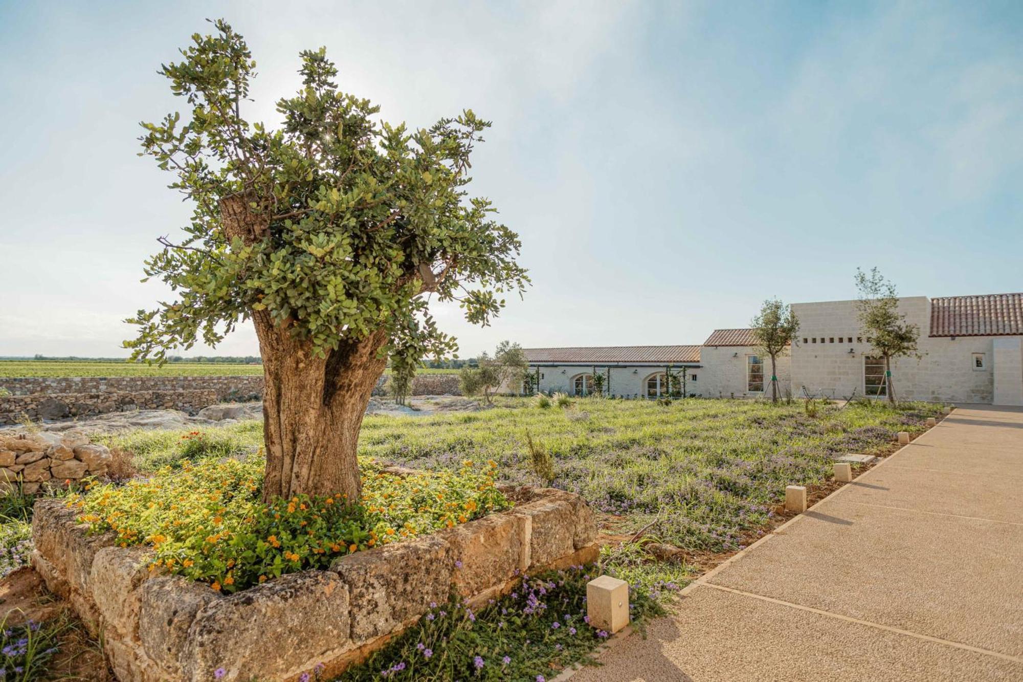 Masseria Vaccaro By Raro Villas - Self Check-In Brindisi Eksteriør bilde