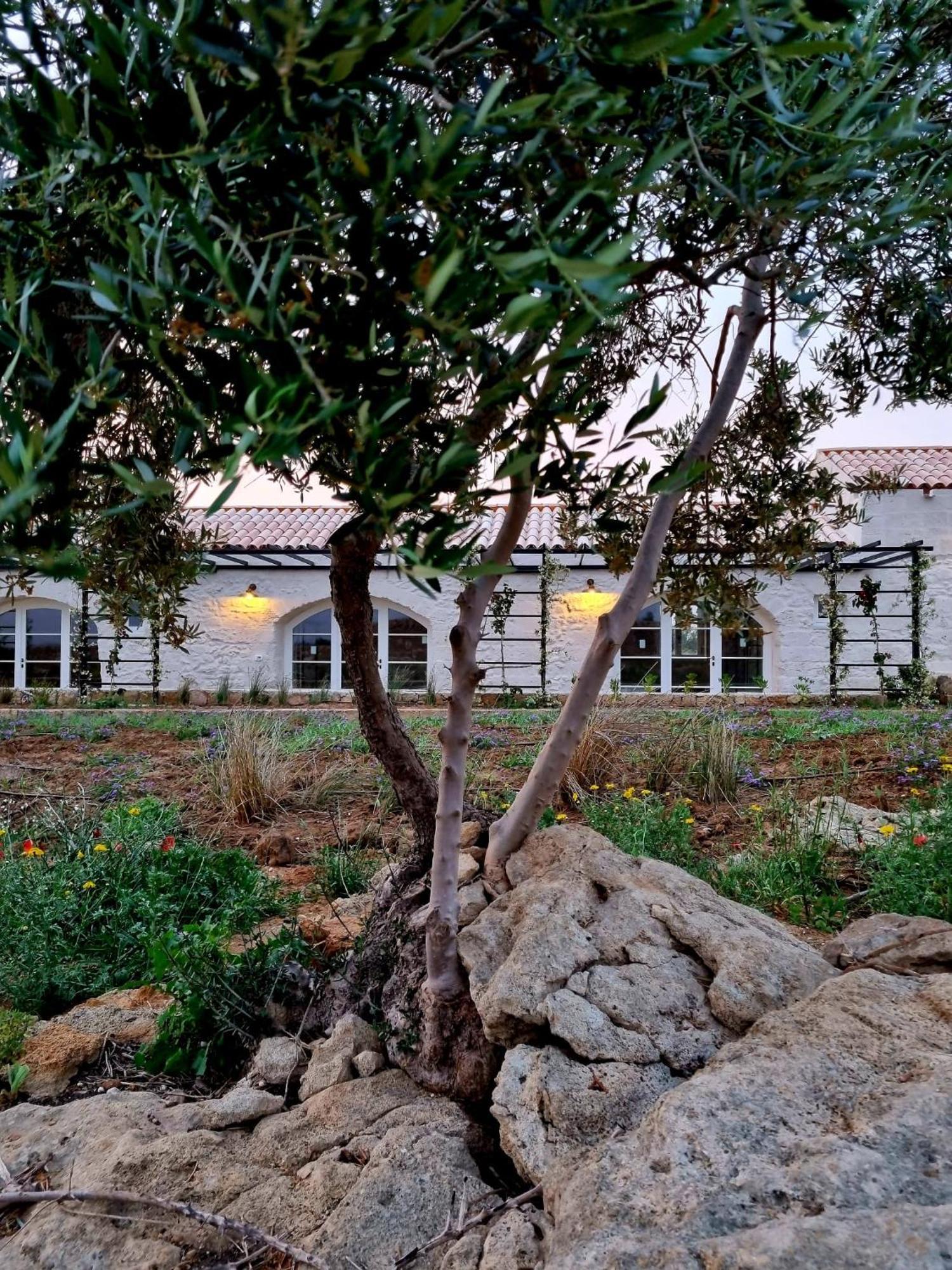 Masseria Vaccaro By Raro Villas - Self Check-In Brindisi Eksteriør bilde